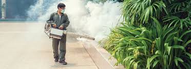 How Can Mosquito Control Service Help You Keep Bugs Away?