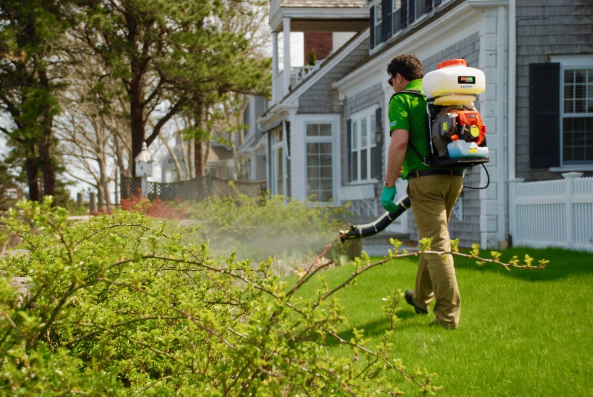 From Backyard to Boardwalk: How Mosquito Spraying Keeps Us Safe