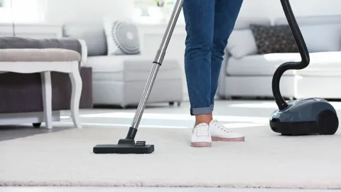Is Professional Carpet Cleaning Worth The Price Tag?