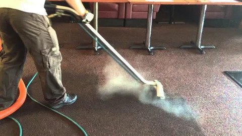 From Dirty To Pristine: Restoring the Beauty of Your Carpets through Steam Cleaning
