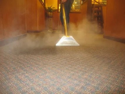 carpet steam cleaning Templestowe