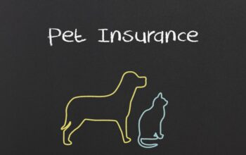 pet insurance in NZ